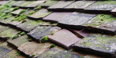 Spurlands End roof repair costs